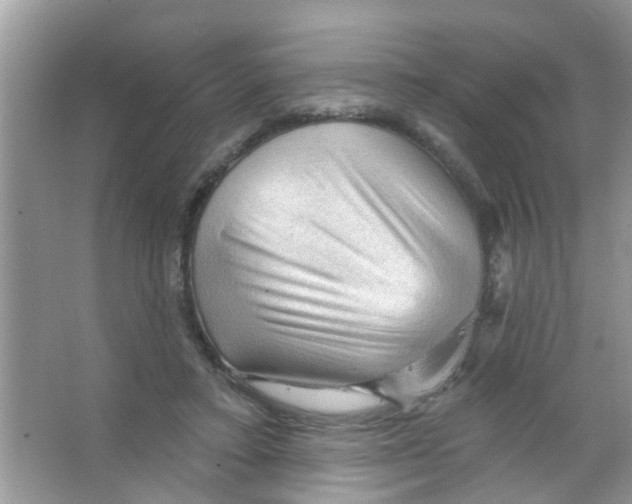 X0000065970403200603311844