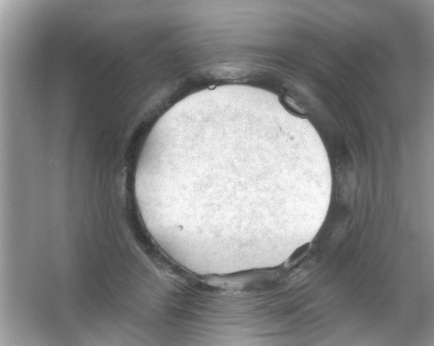 X0000065970404200603311844