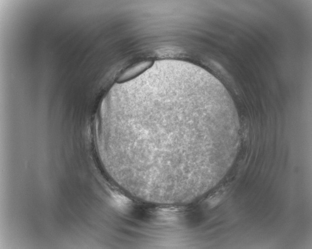 X0000065970405200603311844