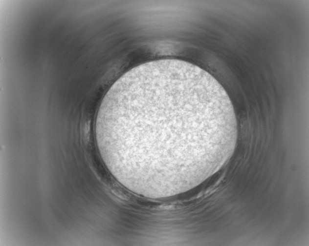 X0000065970406200603311844