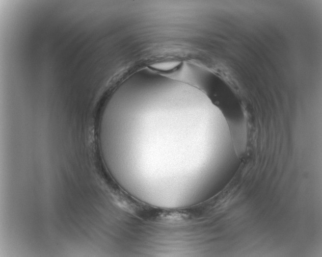 X0000065970407200603311844