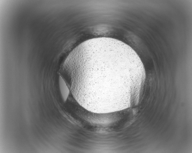 X0000065970408200603311844