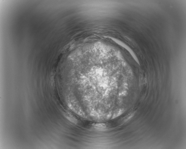 X0000065970409200603311844