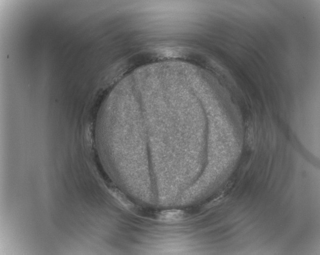 X0000065970410200603311844