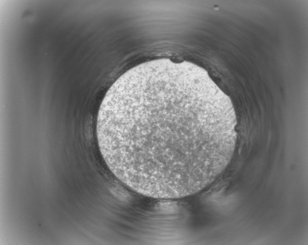 X0000065970413200603311844