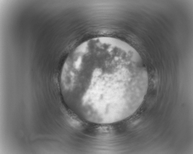 X0000065970415200603311844