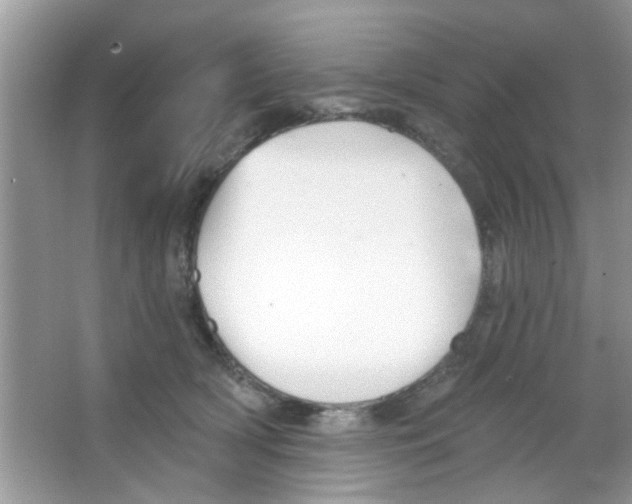 X0000065970418200603311844