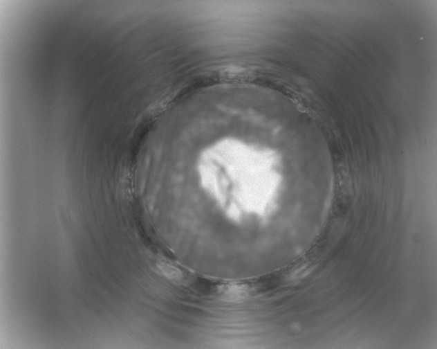 X0000065970419200603311844