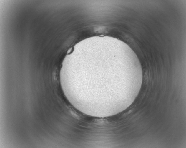 X0000065970424200603311844