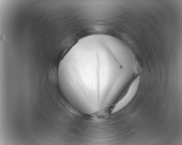 X0000065970425200603311843