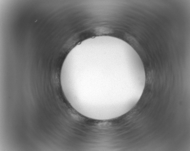 X0000065970426200603311843