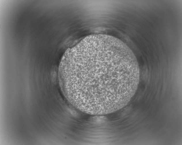 X0000065970427200603311843