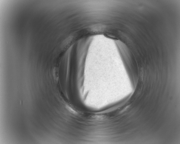 X0000065970428200603311843