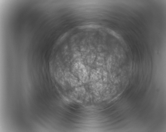 X0000065970430200603311843