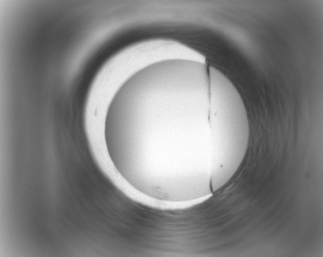 X0000065970431200603311843