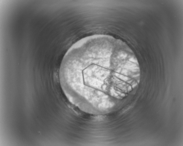 X0000065970432200603311843