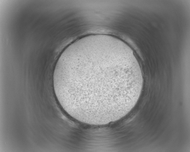 X0000065970433200603311843