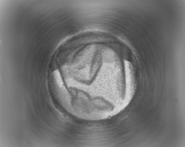 X0000065970434200603311843