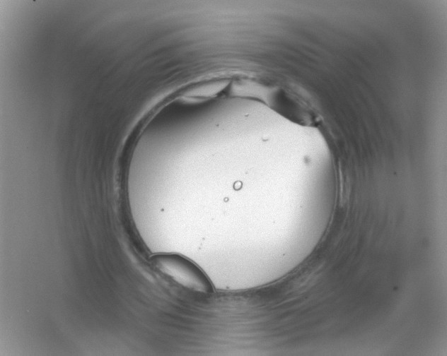 X0000065970435200603311843