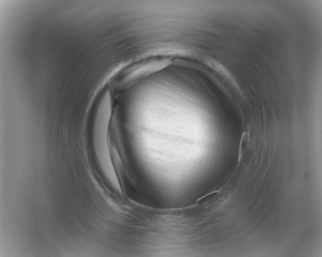 X0000065970436200603311843