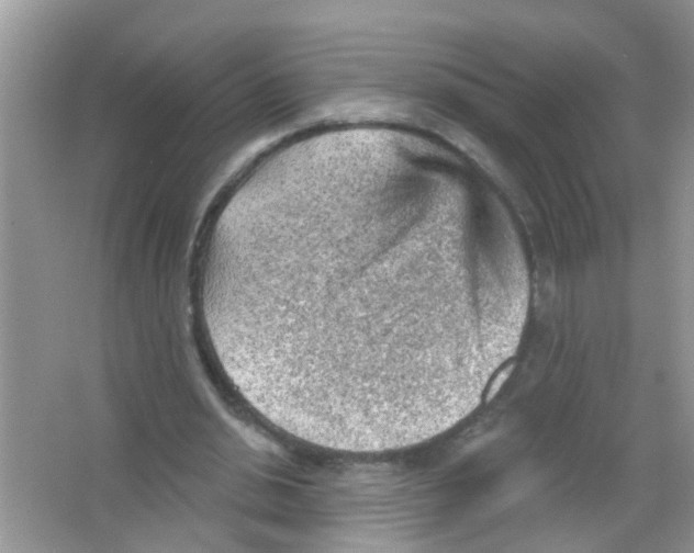 X0000065970438200603311843