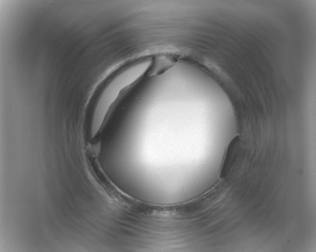 X0000065970440200603311843