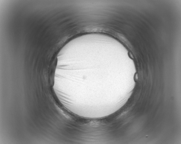 X0000065970441200603311843