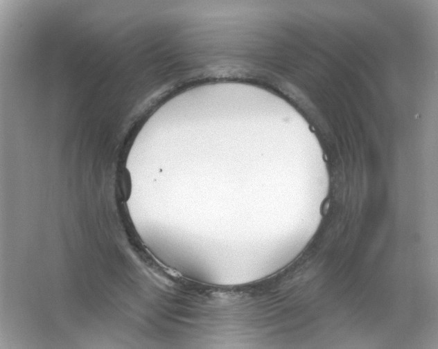 X0000065970442200603311843