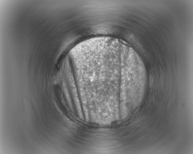 X0000065970444200603311843