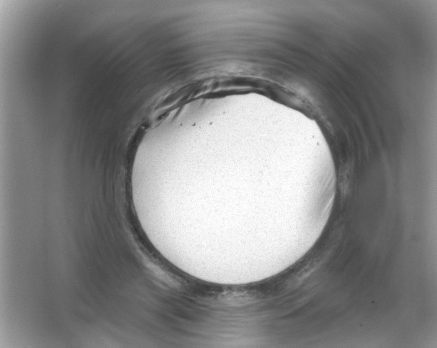 X0000065970445200603311843