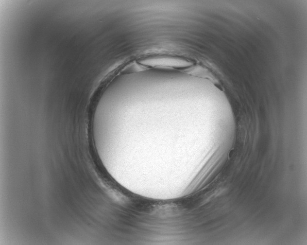 X0000065970446200603311843