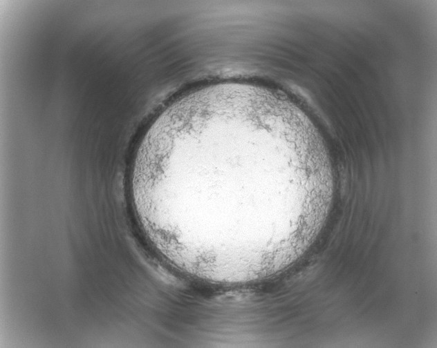 X0000065970447200603311843