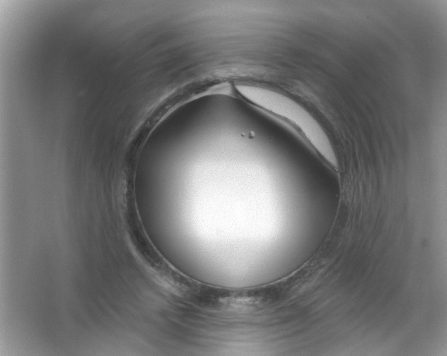 X0000065970448200603311843