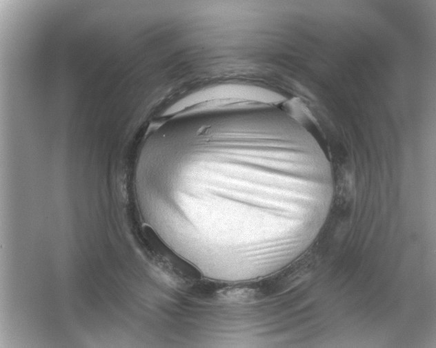 X0000065970452200603311843