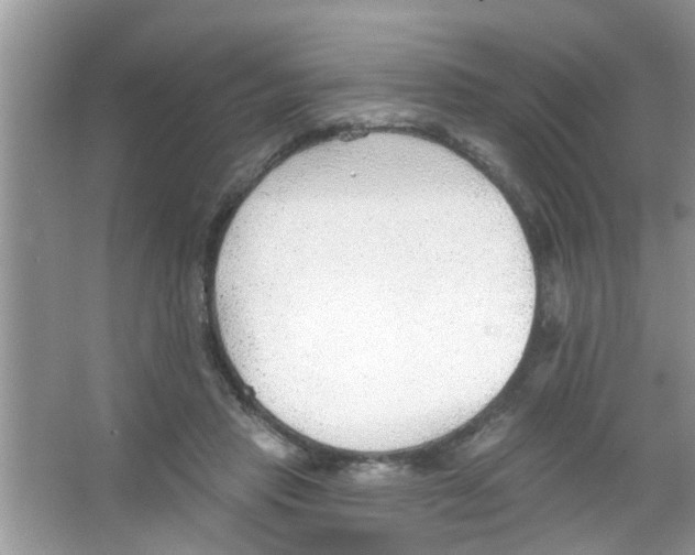 X0000065970453200603311843