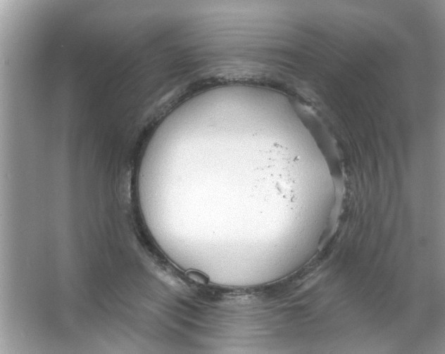 X0000065970454200603311843