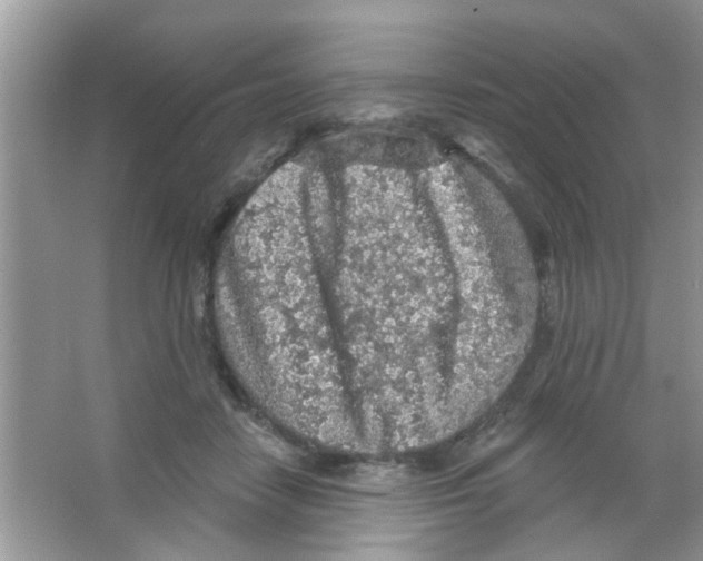 X0000065970458200603311843