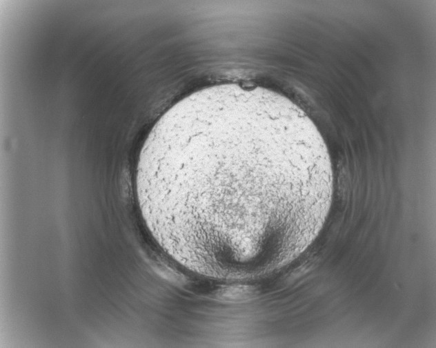 X0000065970459200603311843