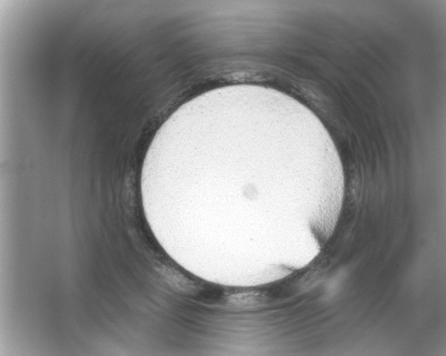 X0000065970461200603311843