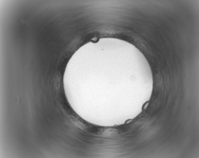 X0000065970463200603311843