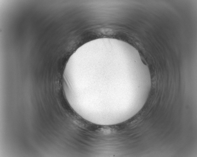 X0000065970464200603311843