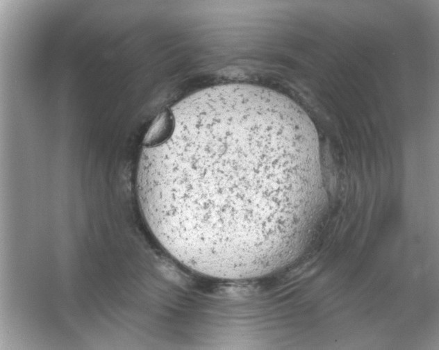 X0000065970466200603311843