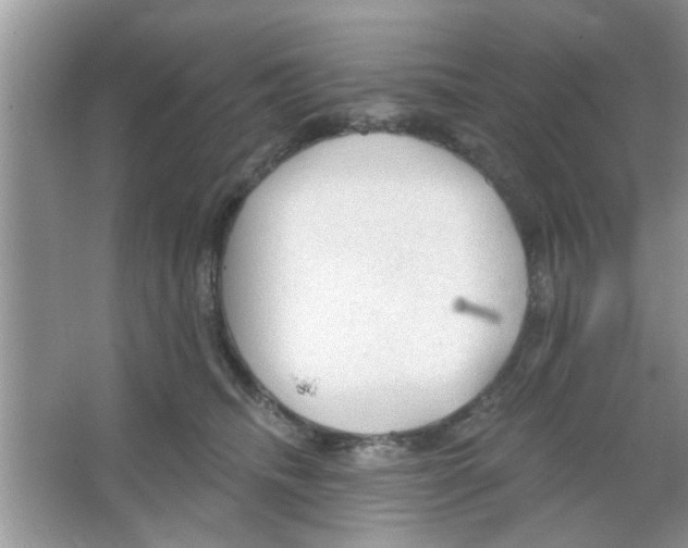 X0000065970468200603311843