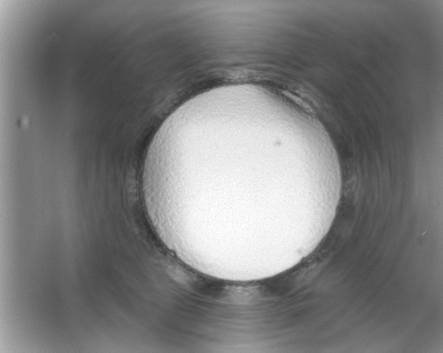 X0000065970469200603311843