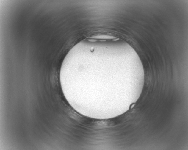 X0000065970473200603311843