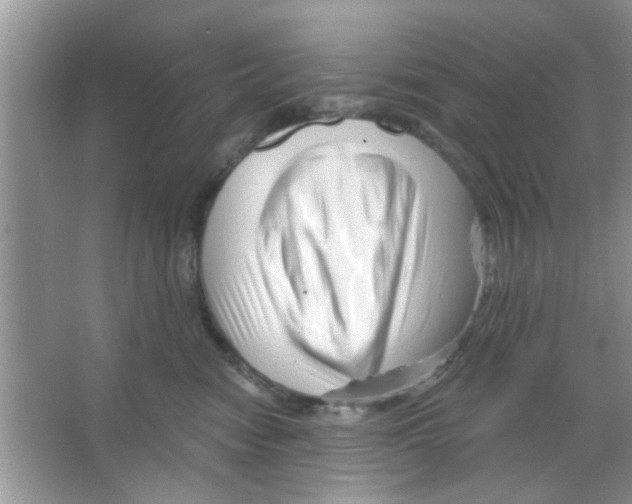 X0000065970474200603311843