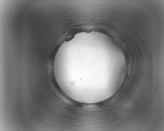 X0000065970476200603311843