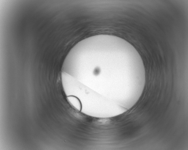 X0000065970478200603311843