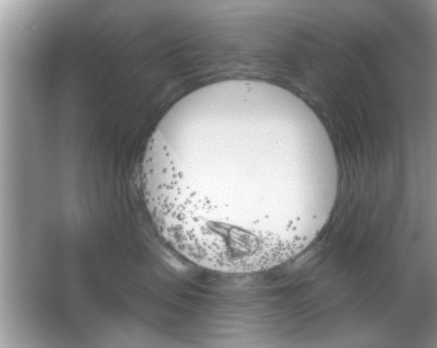 X0000065970479200603311843