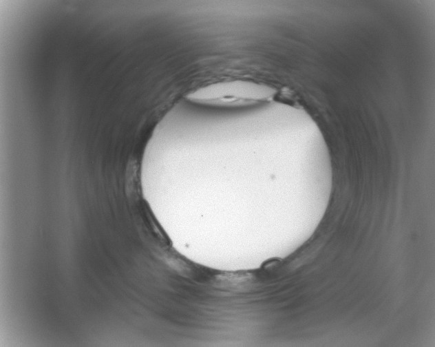 X0000065970480200603311843